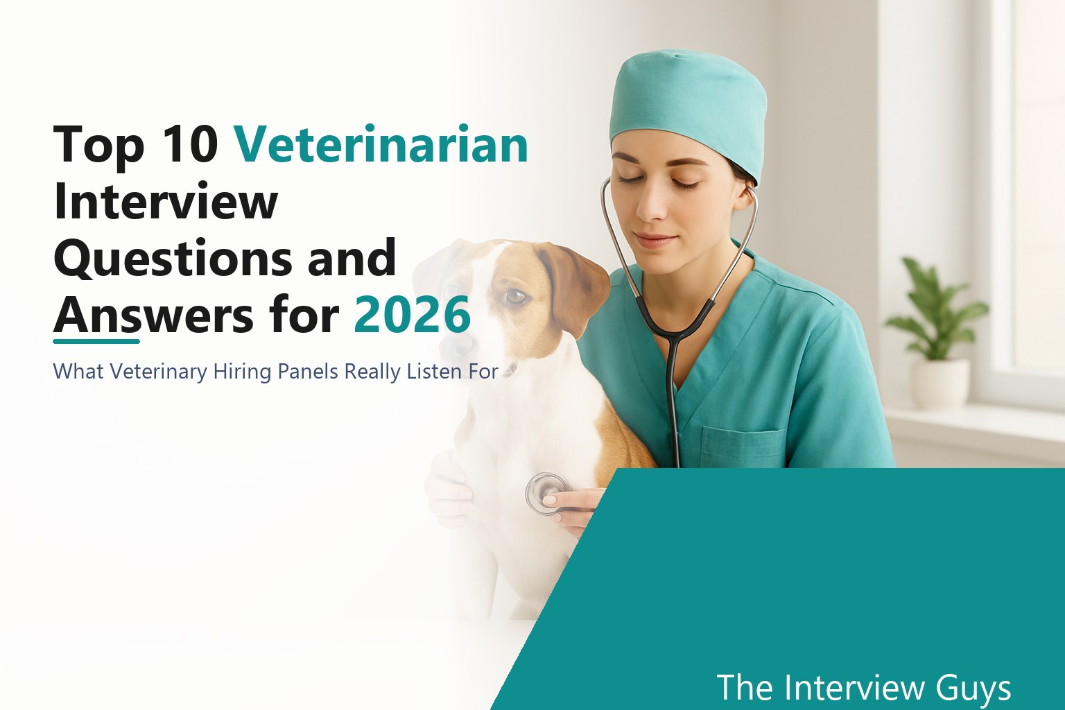 Bls Code Roles Top 10 Veterinarian Interview Questions and Answers for 2026: Small ...